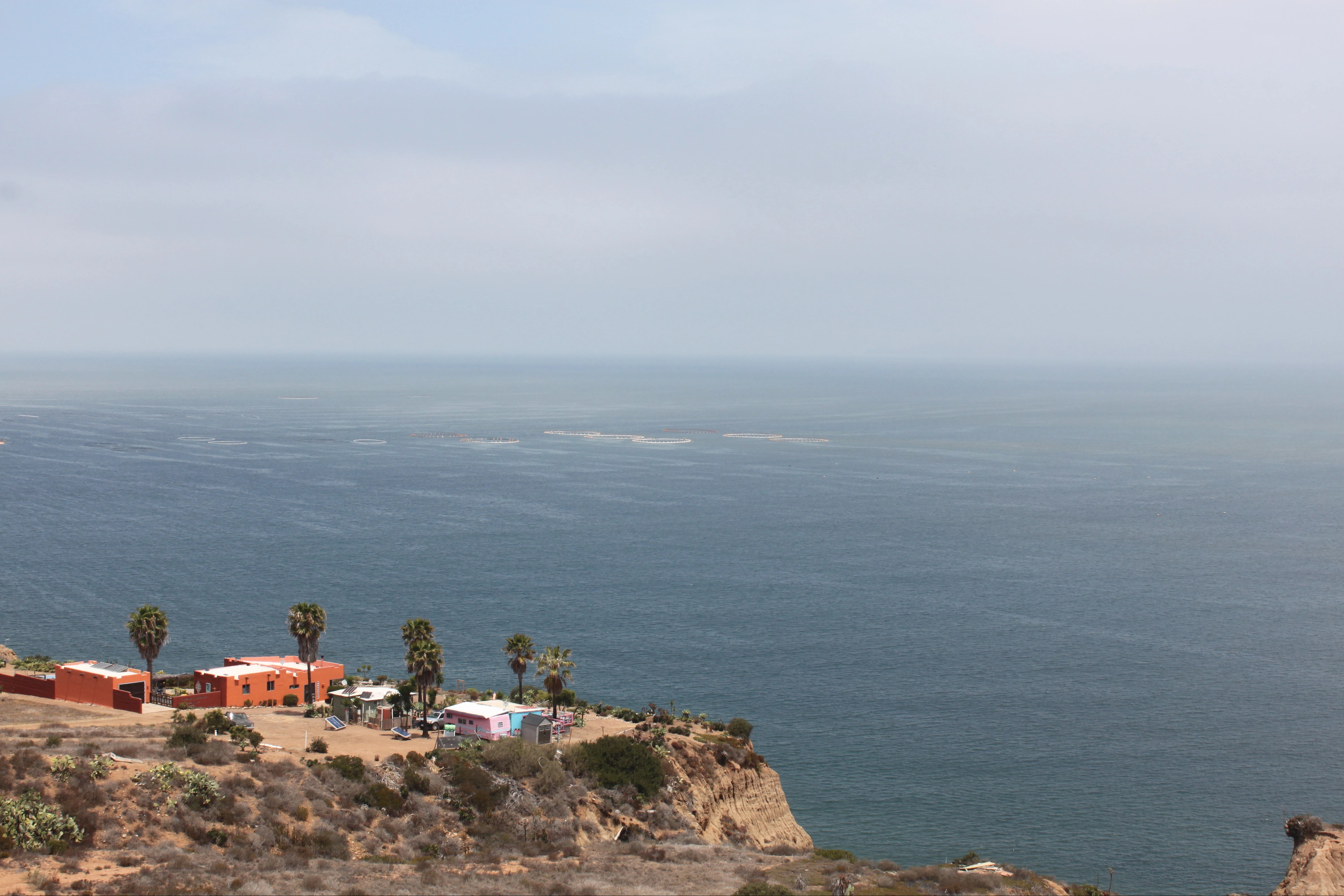 Baja California | Ahorita Vengo - Arlene Bayliss