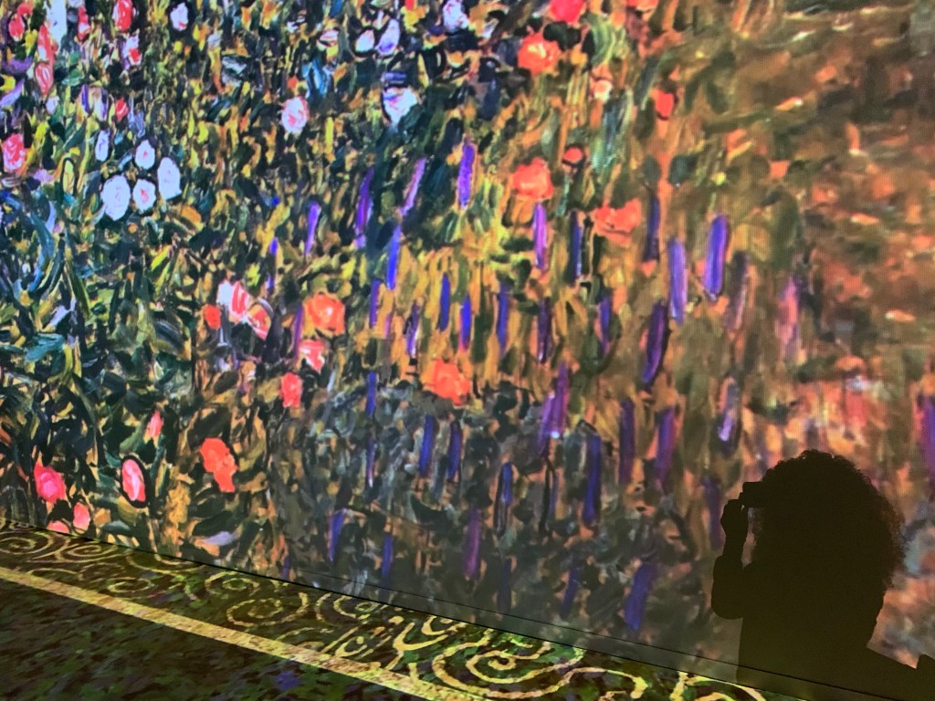Persona observando una proyección artística inmersiva de flores y colores en una sala de exposición